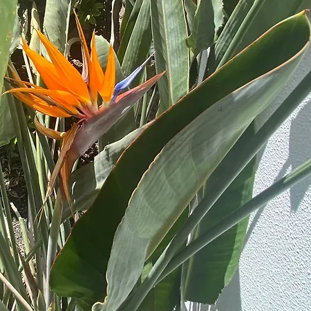Casa Rosalia Сasa de vacaciones Corralejo