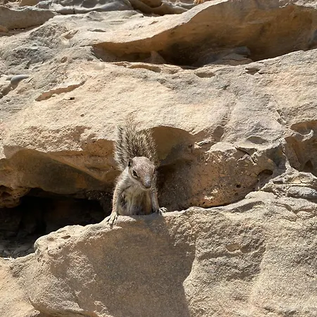 Casa Rosalia بيت للعطل