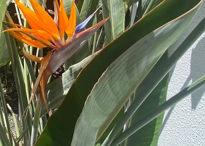 Casa Rosalia Prázdninový dům Corralejo