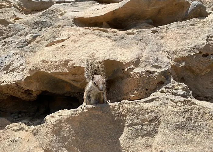 Casa Rosalia Prázdninový dům